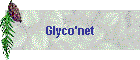 Glyco'net
